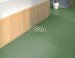 Tarkett iq Melodia 2639 фото 2 | FLOORDEALER